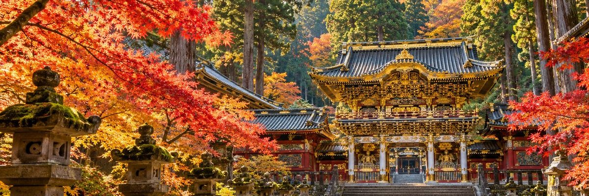 從東京出發！日光一日遊這樣排，世界遺產與楓紅一次收進相機