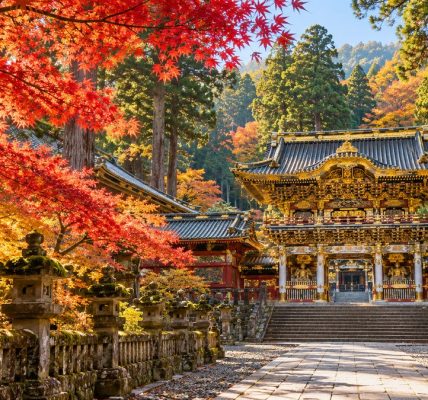 從東京出發！日光一日遊這樣排，世界遺產與楓紅一次收進相機